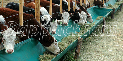 Comederos de lona para ganado vacuno en FeedLot.