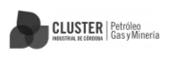 Cluster Petroleo Gas y Minería